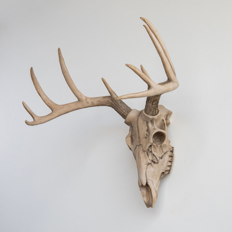 Millwood Pines Deer Skull Wall Décor Wayfair